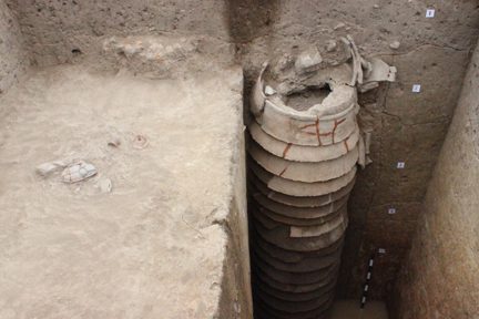 Excavation at Pattanamarudur Set to Begin in January 2026: What to Know