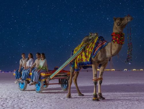Rann-Utsav-2025-26-A-Guide-to-Gujarats-White-Desert-Festival