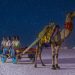 Rann-Utsav-2025-26-A-Guide-to-Gujarats-White-Desert-Festival